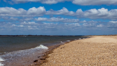 Beach at Colne Point 