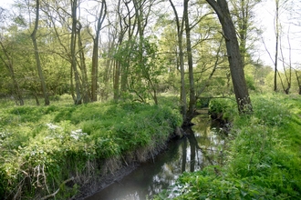 Roman River Valley 