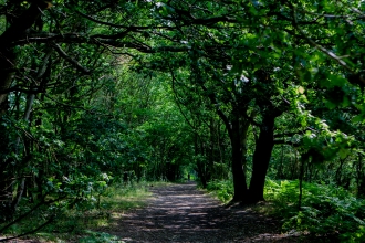 Peter Bowden Tiptree Heath