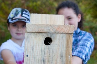 Roding bird box making