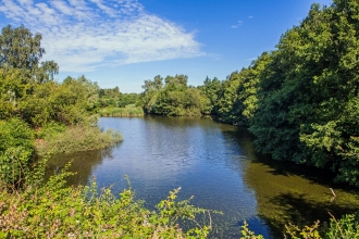 Fingringhoe Wick nature reserve