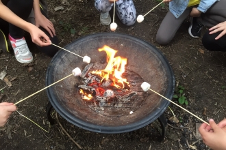 Children toasting marshmallows