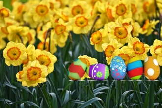 Easter Flower Arranging