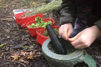 Girl's hands, pestle and mortar, herbs