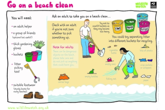 Go on a beach clean