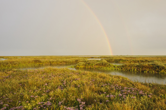 Rainbow Coastal realignment Abbotts Hall Farm