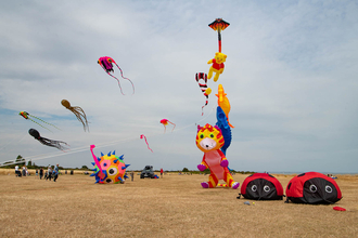 Kites at The Naze