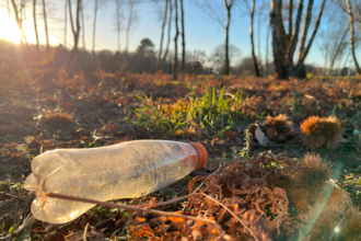 plastic bottle on woodland floor