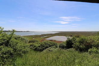 view over Geedon Marsh