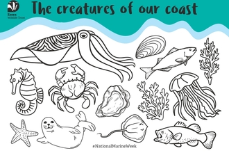 The creatures of our coast colouring sheet