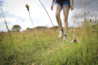 Photo of a person walking in a meadow with flowers