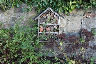 Bug hotel on garden stone wall