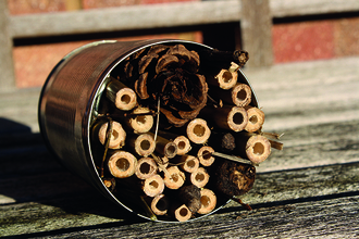 Simple bug hotel made using upcycled tin can