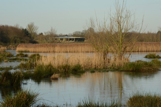 Autumnal shades of brown and green colour this reedy landscape that reflects in the gently rippled water 