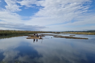 Staff and volunteers working on lagoons at Two Tree Island with big blue sky and reflections in the water