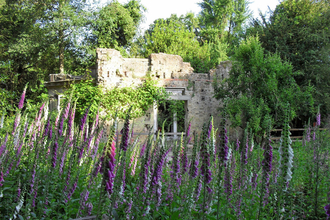 Long fox gloves grow in front of a stone ruin reclaimed by nature as the sun shines on half of it 