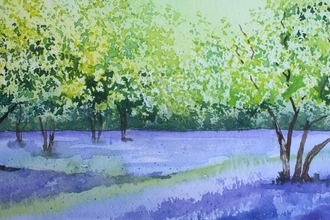 watercolour bluebell woods vivien