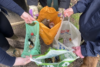 Litter picking 