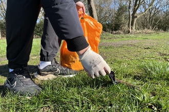 Someone bending down to pick up litter and holding a bag