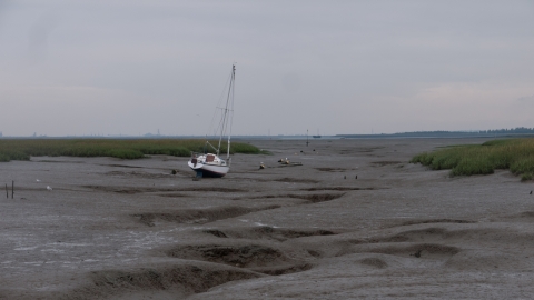 Mudflat