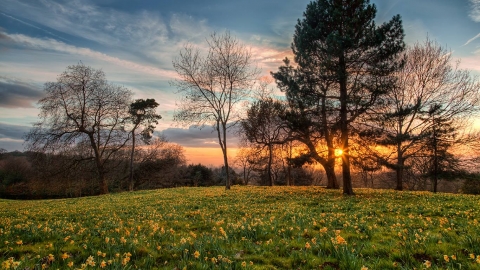 Warley Place Nature Reserve | Essex Wildlife Trust