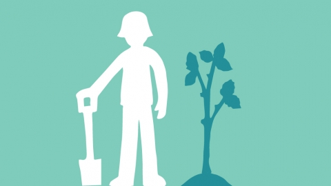 tree planting illustration