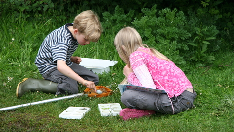 KS12 Pond dipping