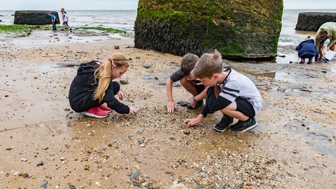 EYFS Coasts and Beaches