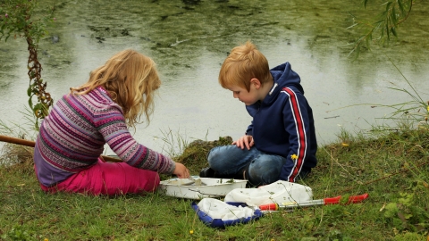 Abberton Pond Dipping