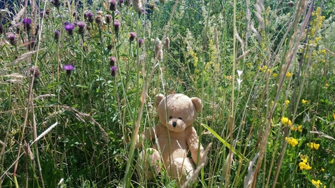 Teddy Bears Picnic Party