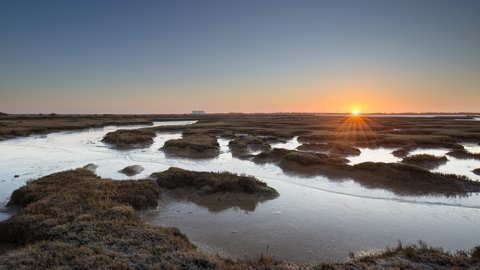 Tollesbury Wick