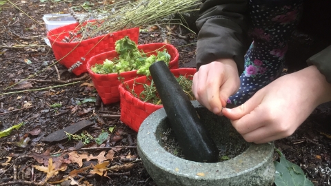 Girl's hands, pestle and mortar, herbs