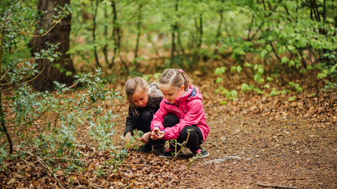 Autumn children - Helena Dolby for Sheffield & Rotherham Wildlife Trust