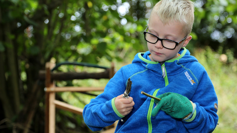 Bushcraft, Bows and Arrows