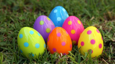 Brightly coloured eggs 