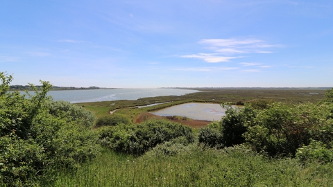 view over Geedon Marsh