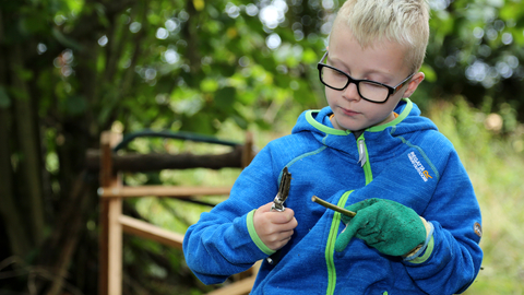 Abbotts drop off day - wood whittling