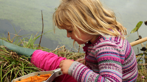 Forest school