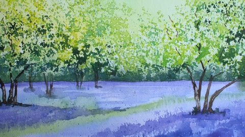 watercolour bluebell woods vivien