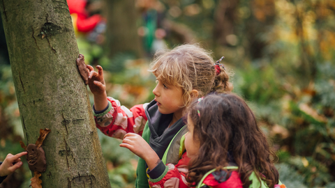 Photo of two children in the woods