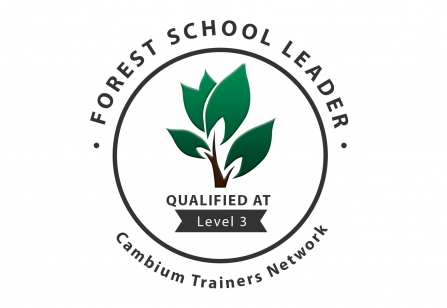 Forest School Leader