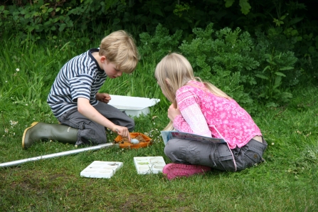 KS12 Pond dipping