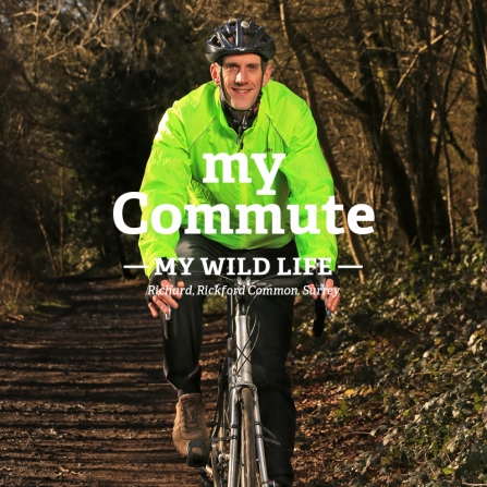 Richard cycling in a wood