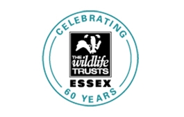 60th Anniversary Logo