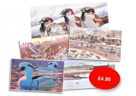 Christmas Cards Pack 2