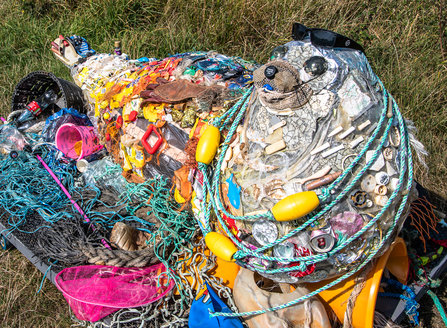 Poly the Plastic Seal by Gary Howie