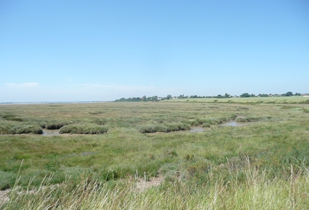 Colne Point nature reserve