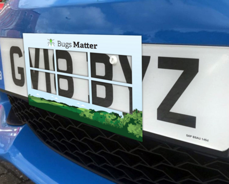 Bugs Matter 'splatometer'