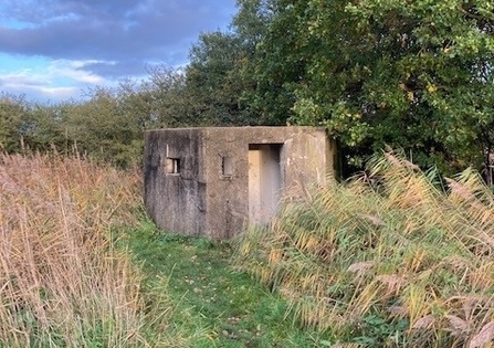 Local History Pillbox 