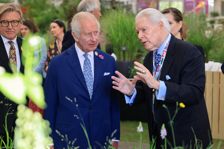 Parke Wright talking to King Charles at Chelsea Flower Show
